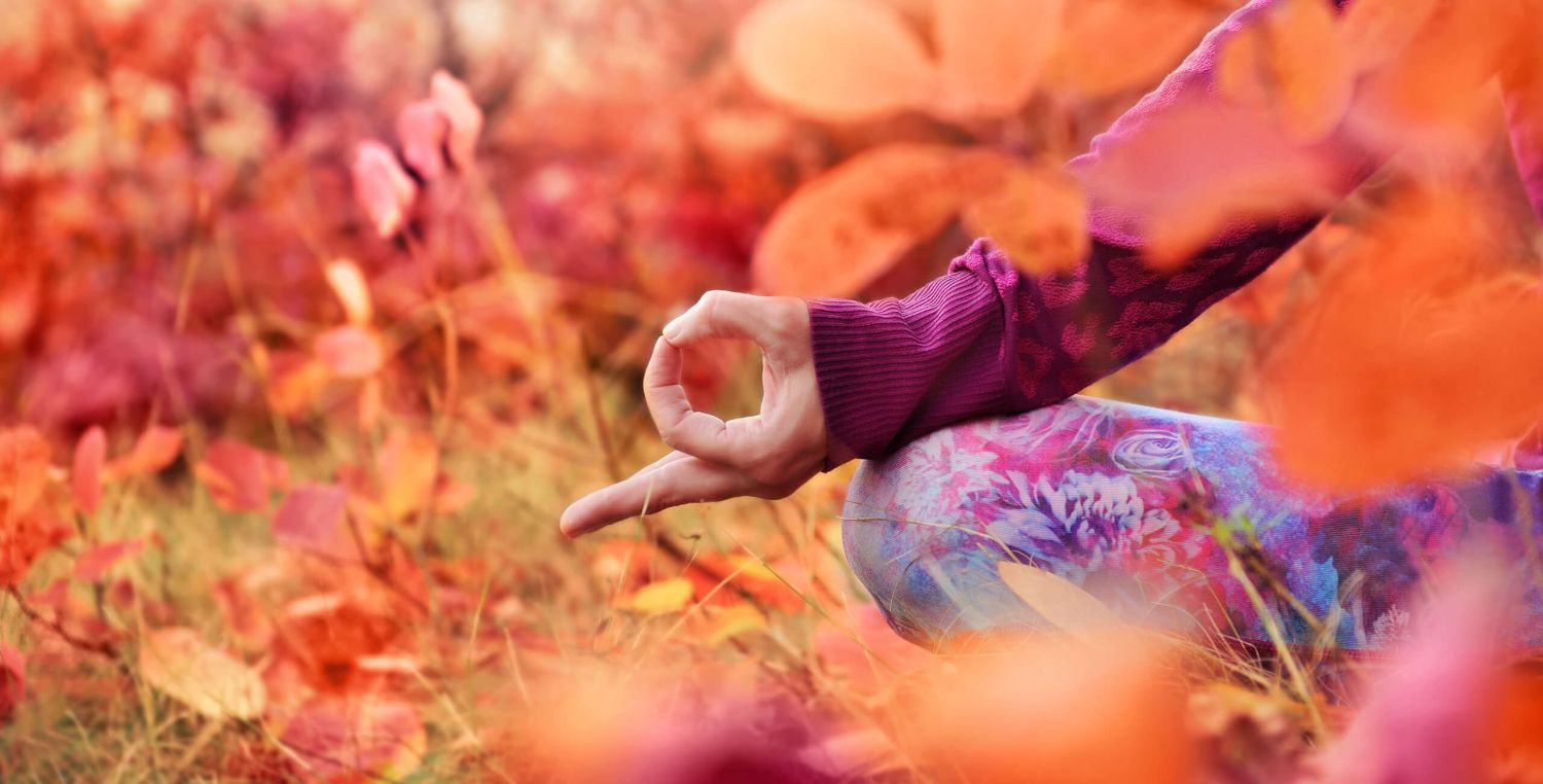 vyn header